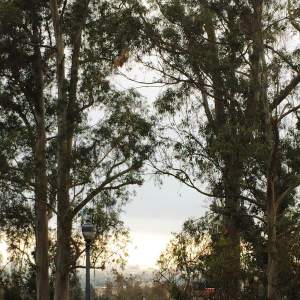 The otherwise magnificent view. | Photo by Courtney Cheng