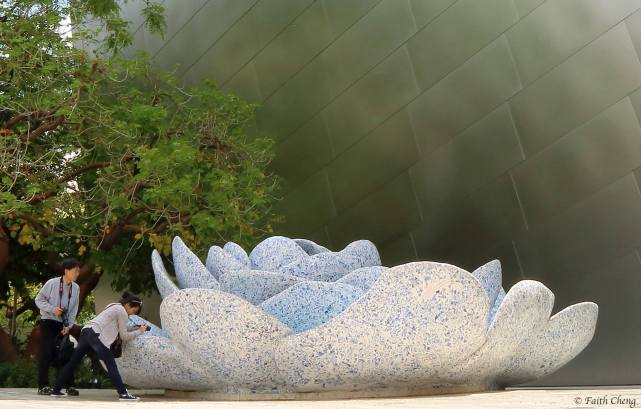 13308136_10207525917040999_6251354551785070873_o