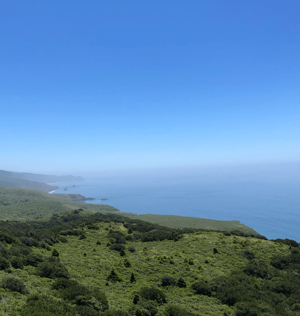 A wide view of a coastline with green hills.